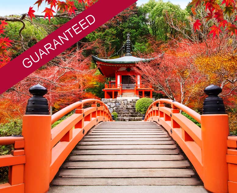 Autumn in Japan - guaranteed